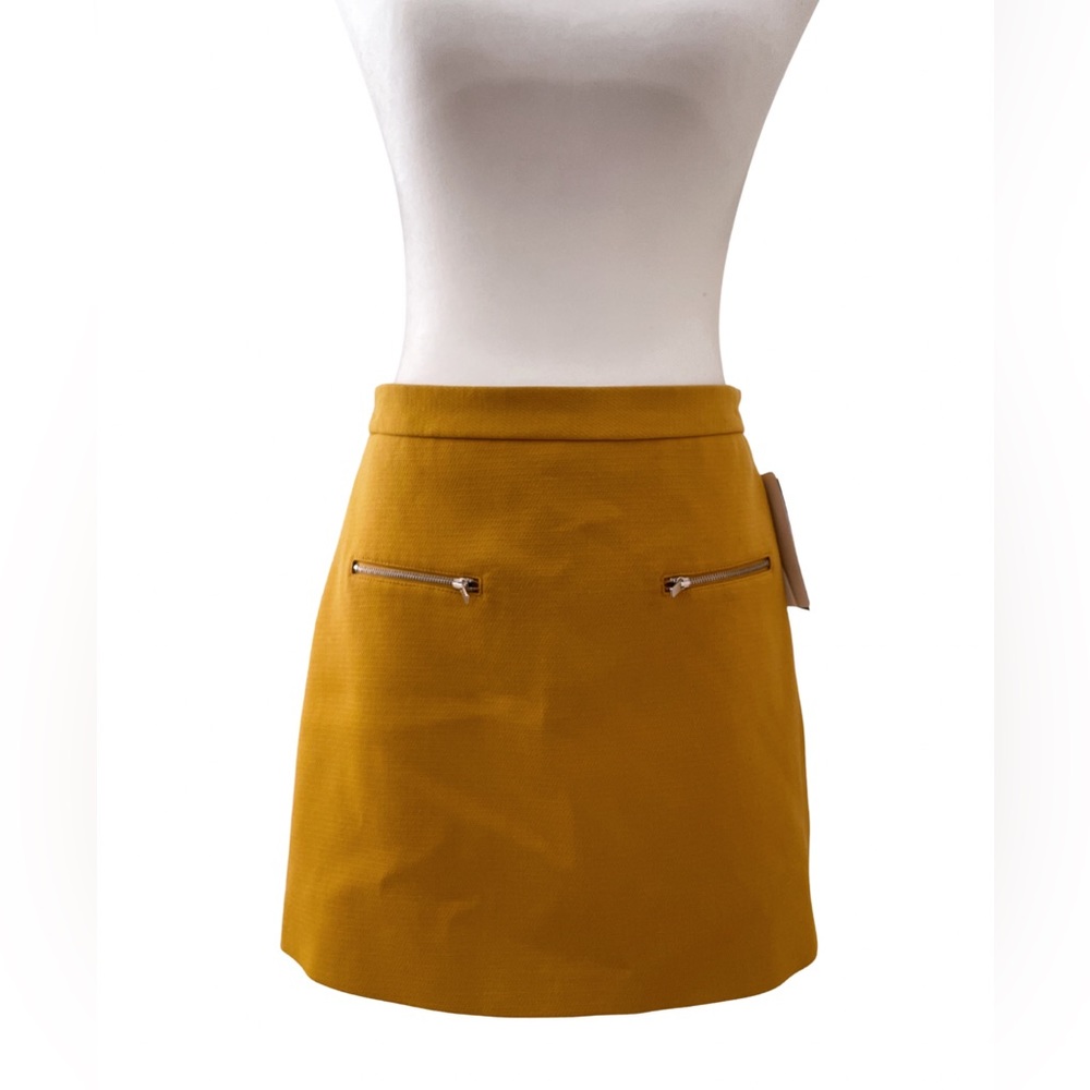 ZARA Skirt